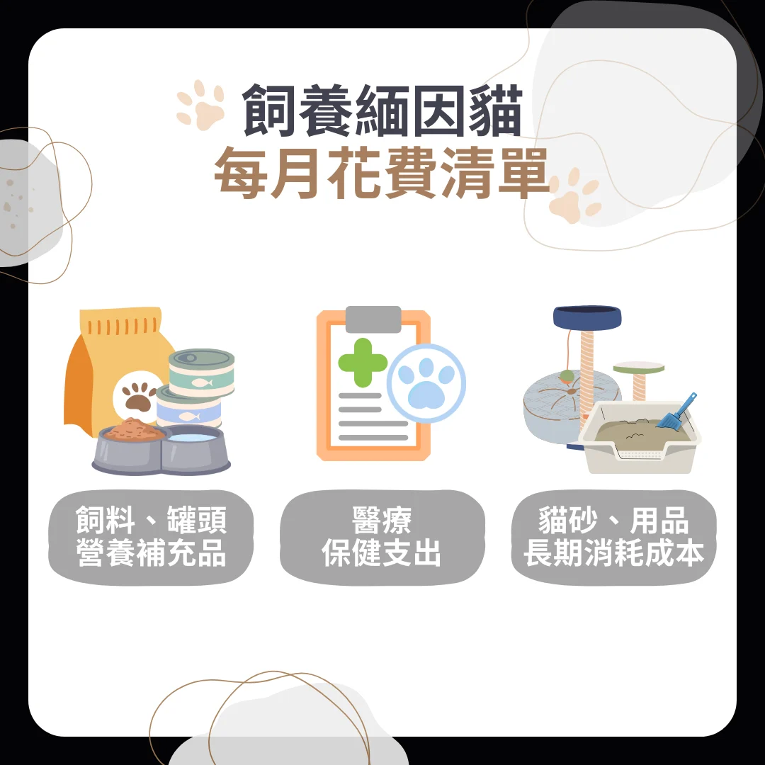 緬因貓每月花費