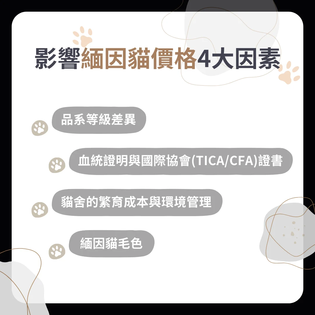 緬因貓價格影響因素