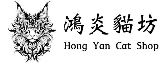 台中緬因貓舍推薦鴻炎貓坊