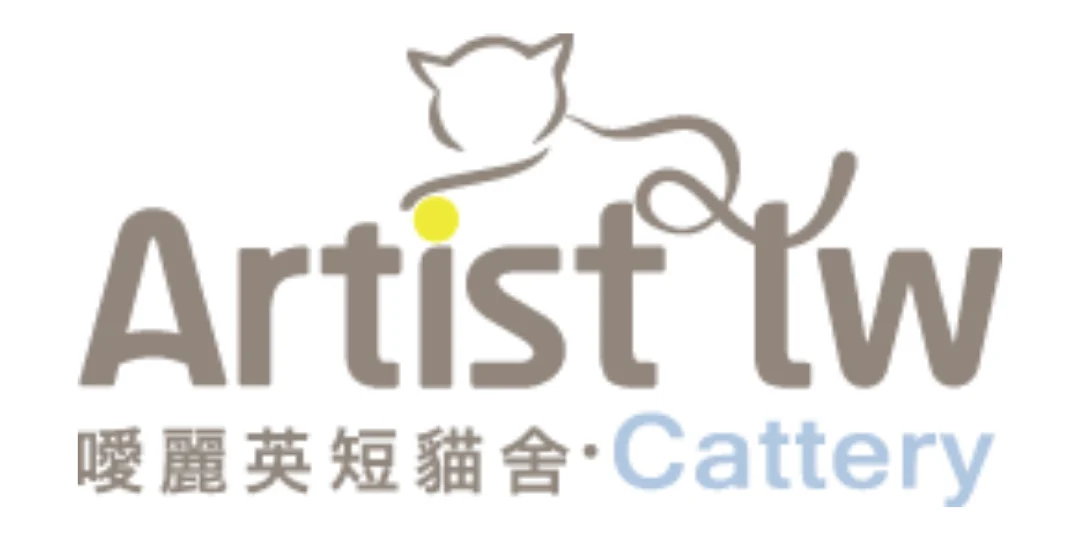 台中貓舍推薦 噯麗英短貓舍