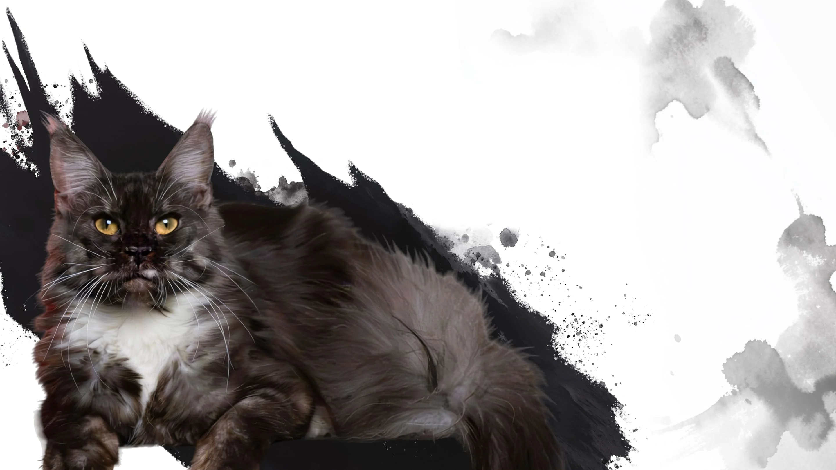 Banner1 Bg