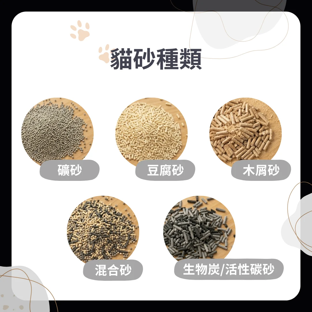 貓砂種類
