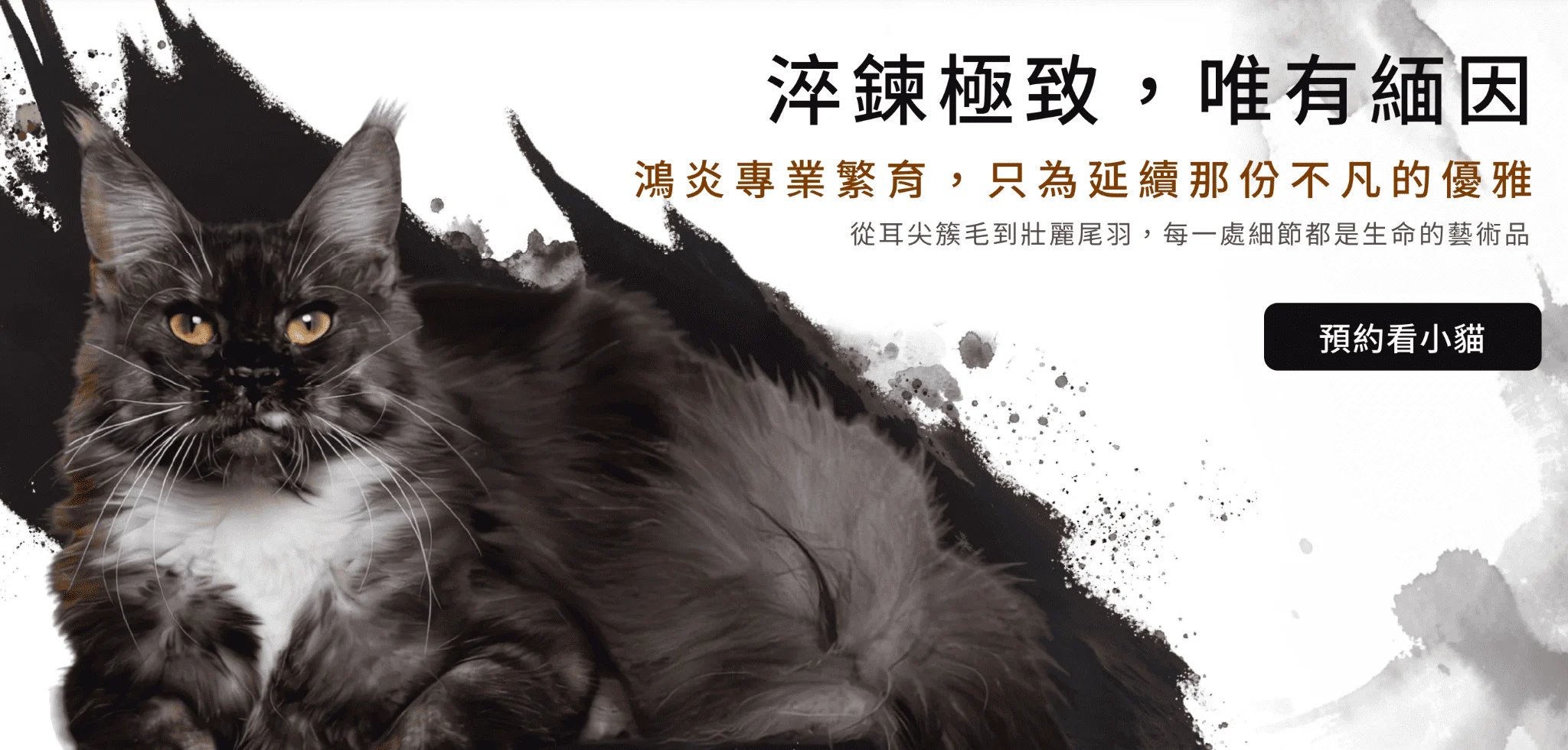 布偶貓貓舍推薦